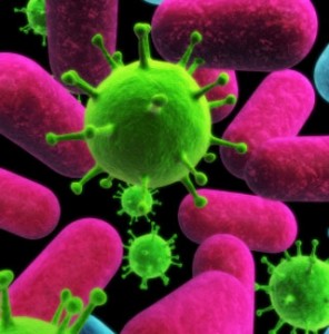 Virus Virus under a microscope